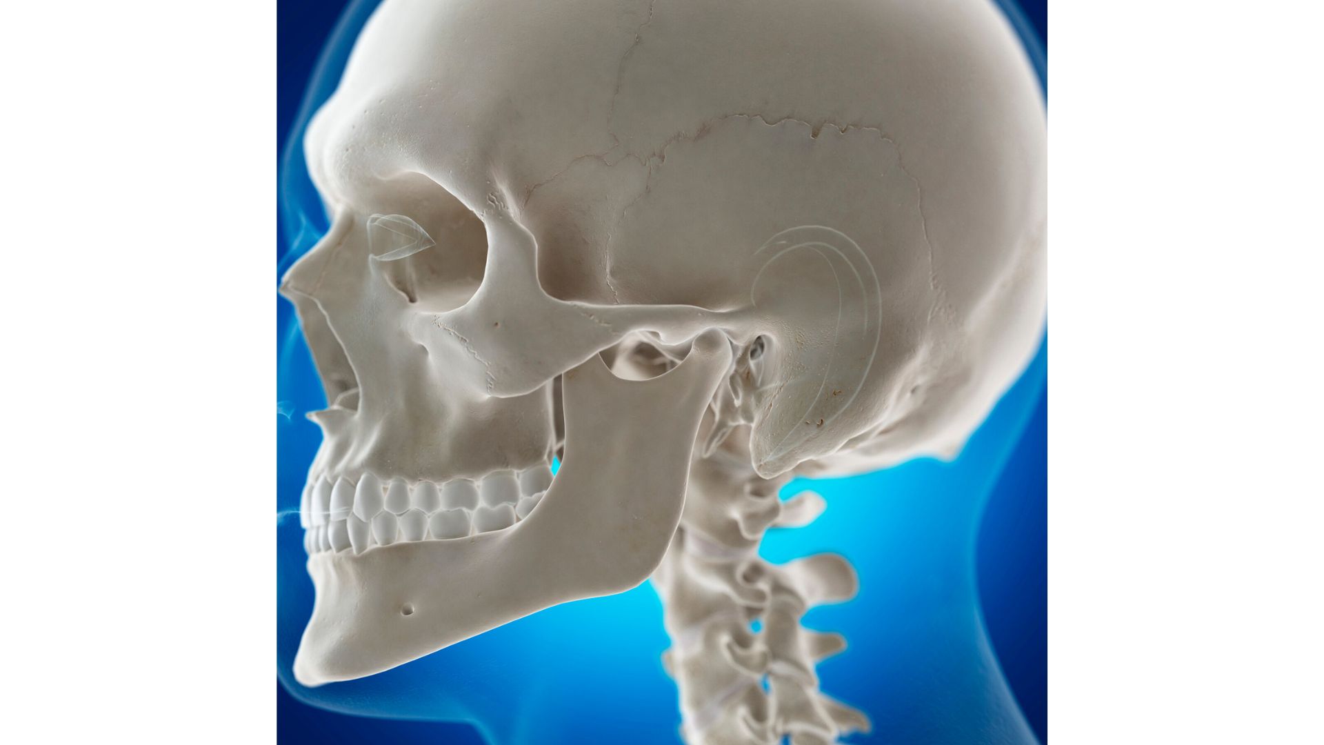 【なぜ顎が痛くなる？】顎関節症の原因を徹底解説｜博多駅5分の歯医者が解説