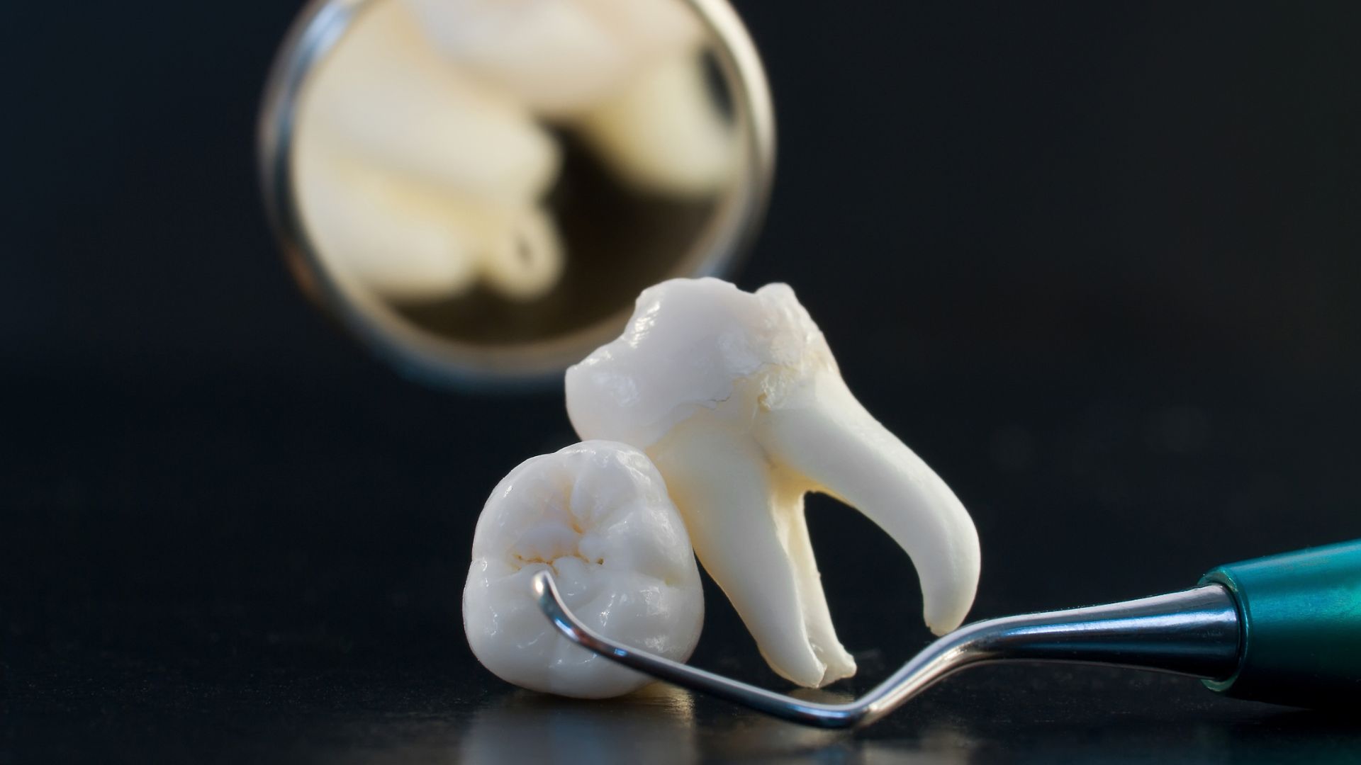 【そもそも必要？】親知らずってなぜあるの？抜く・抜かないの考え方も解説｜博多駅5分の歯医者が解説