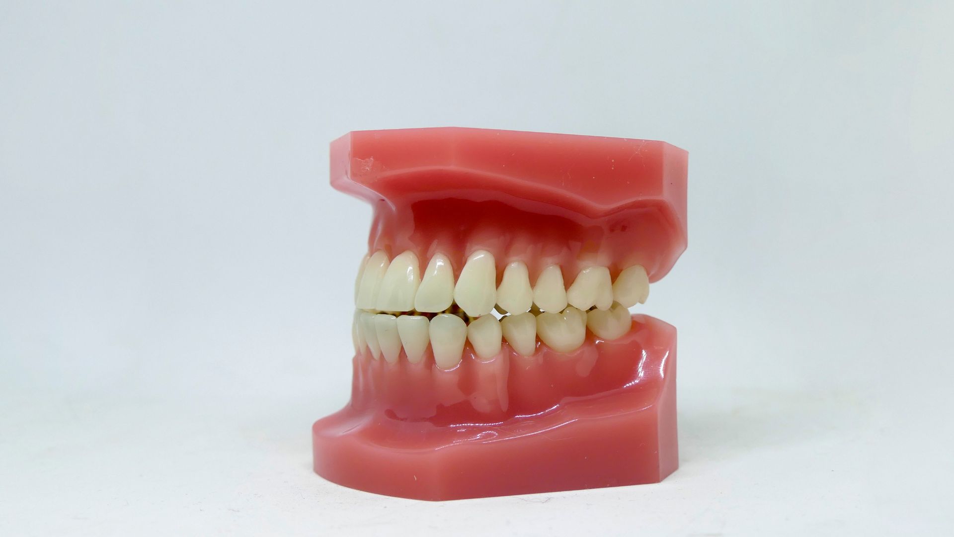 歯ぐきが腫れた！考えられる原因とすぐ受診した方がいい症状